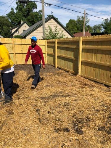 fencing project (in progress)